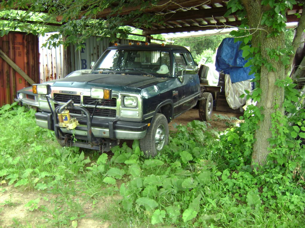 Name: w350012.jpg
Views: 225
Size: 266.3 KB