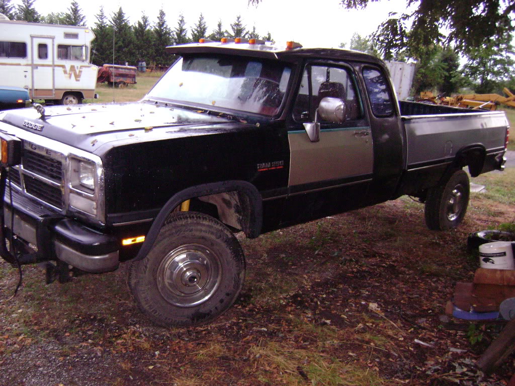 Name: newtruck003.jpg
Views: 214
Size: 231.1 KB