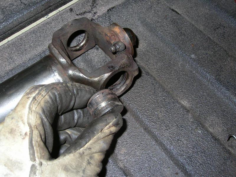 Name:  PICT1044_zpsbf9ccf53.jpg
Views: 827
Size:  109.4 KB