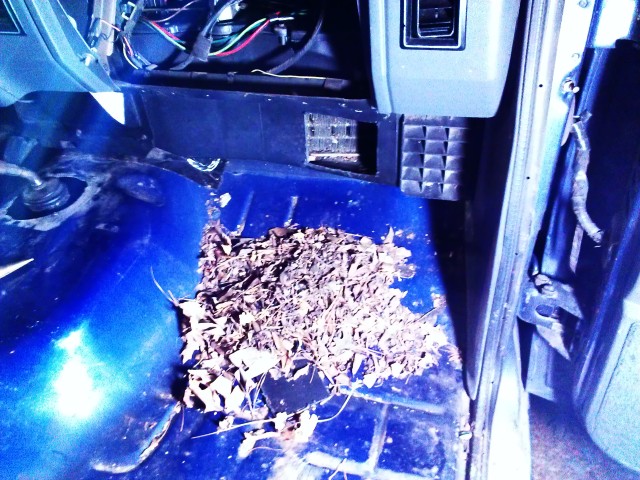 Name:  IMAG0174_zps9a736564.jpg
Views: 58
Size:  157.4 KB