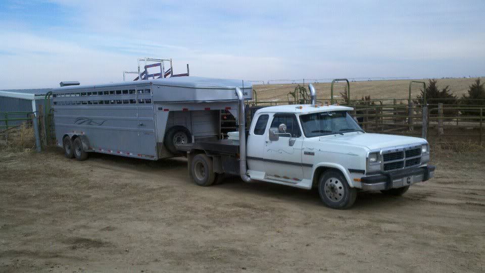Name:  Pickupwithcattletrailer2.jpg
Views: 321
Size:  63.9 KB