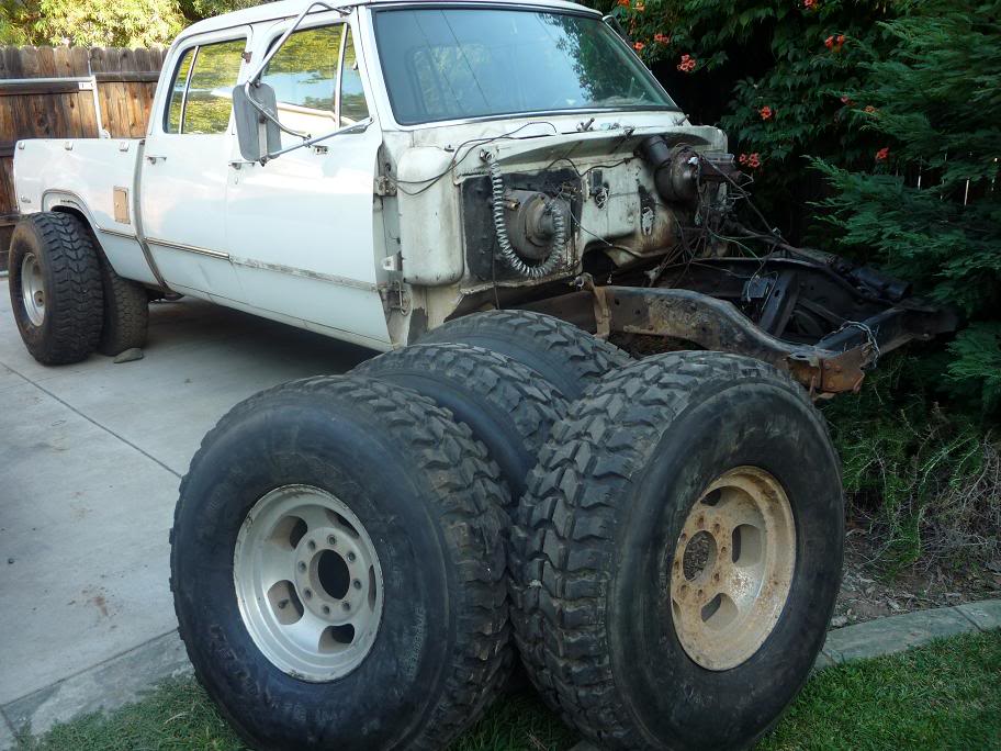 Name:  P1000303.jpg
Views: 308
Size:  119.2 KB