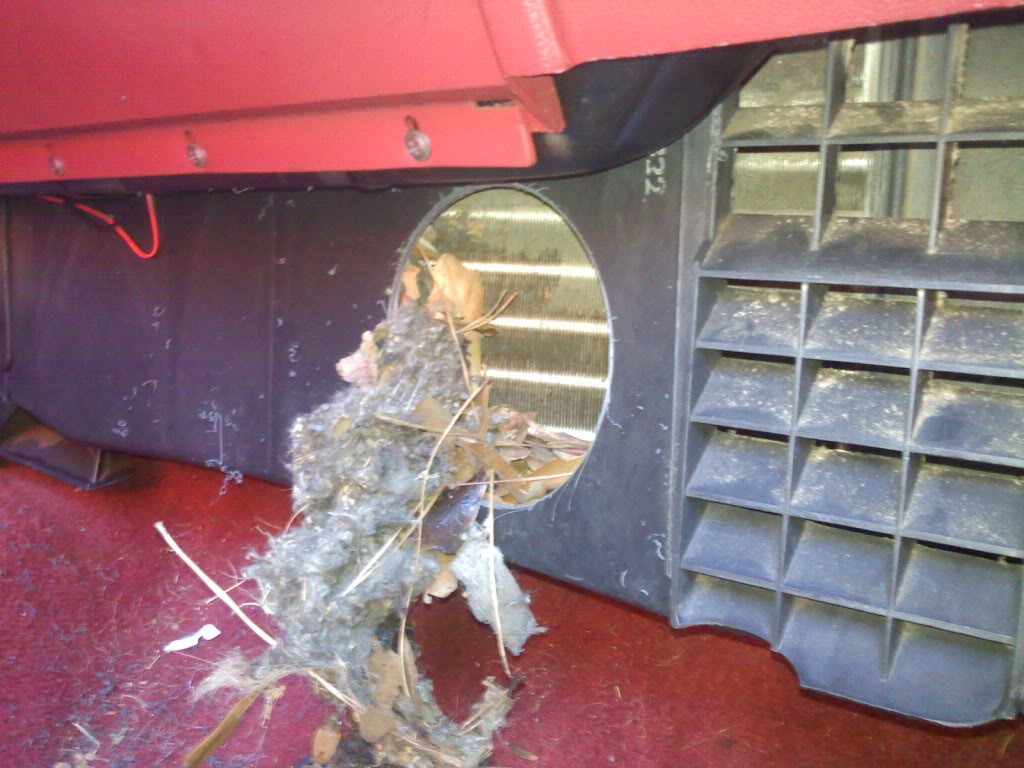 Name:  1020011314a.jpg
Views: 8523
Size:  117.4 KB