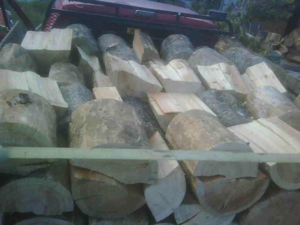 Name:  IMG00312-20111025-1402.jpg
Views: 125
Size:  34.5 KB