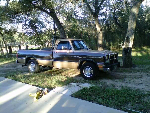 Name:  321528_10150324143712093_507372092_8337186_624289838_n.jpg
Views: 408
Size:  82.9 KB