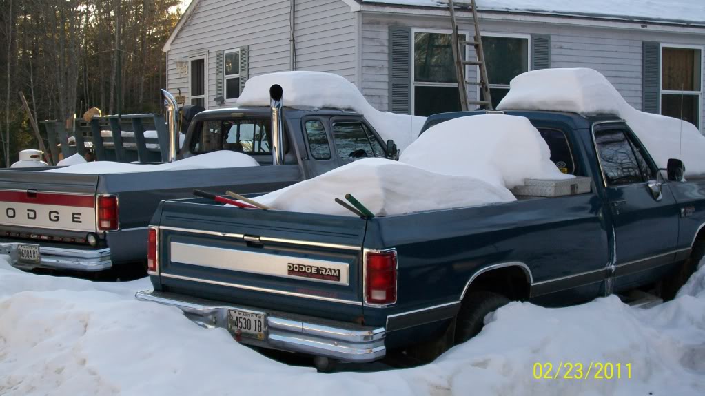 Name: 89and93buriedinthesnow211001.jpg
Views: 1162
Size: 95.6 KB