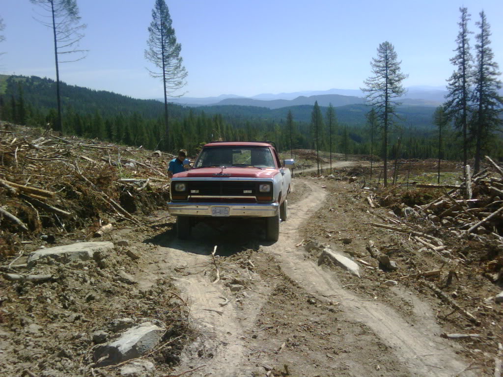 Name:  IMG00022-20110805-1124.jpg
Views: 292
Size:  197.7 KB