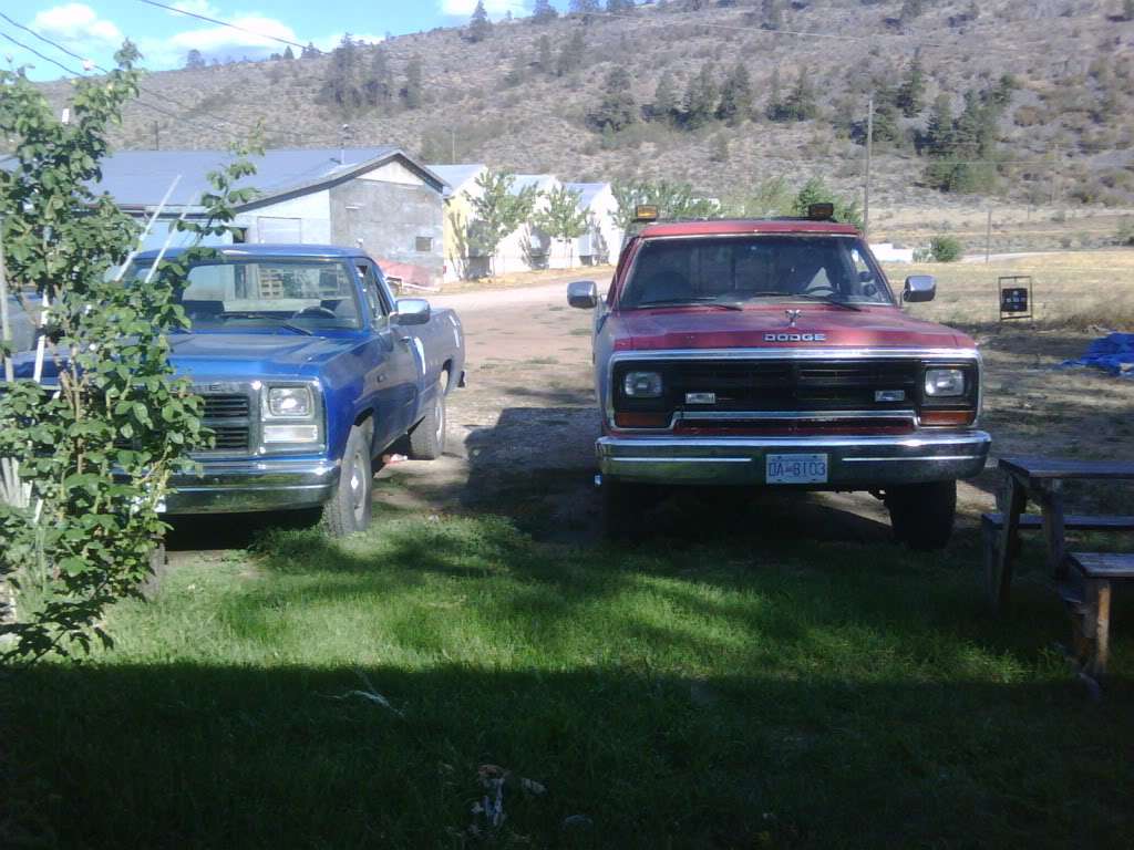 Name:  IMG00089-20110815-1704.jpg
Views: 296
Size:  163.5 KB