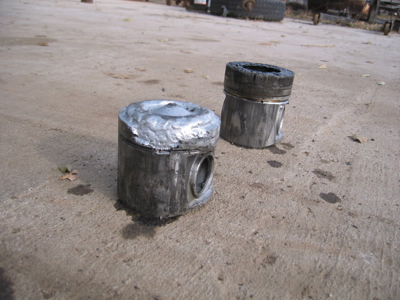 Name:  img_2517jpg.jpg
Views: 123
Size:  93.3 KB