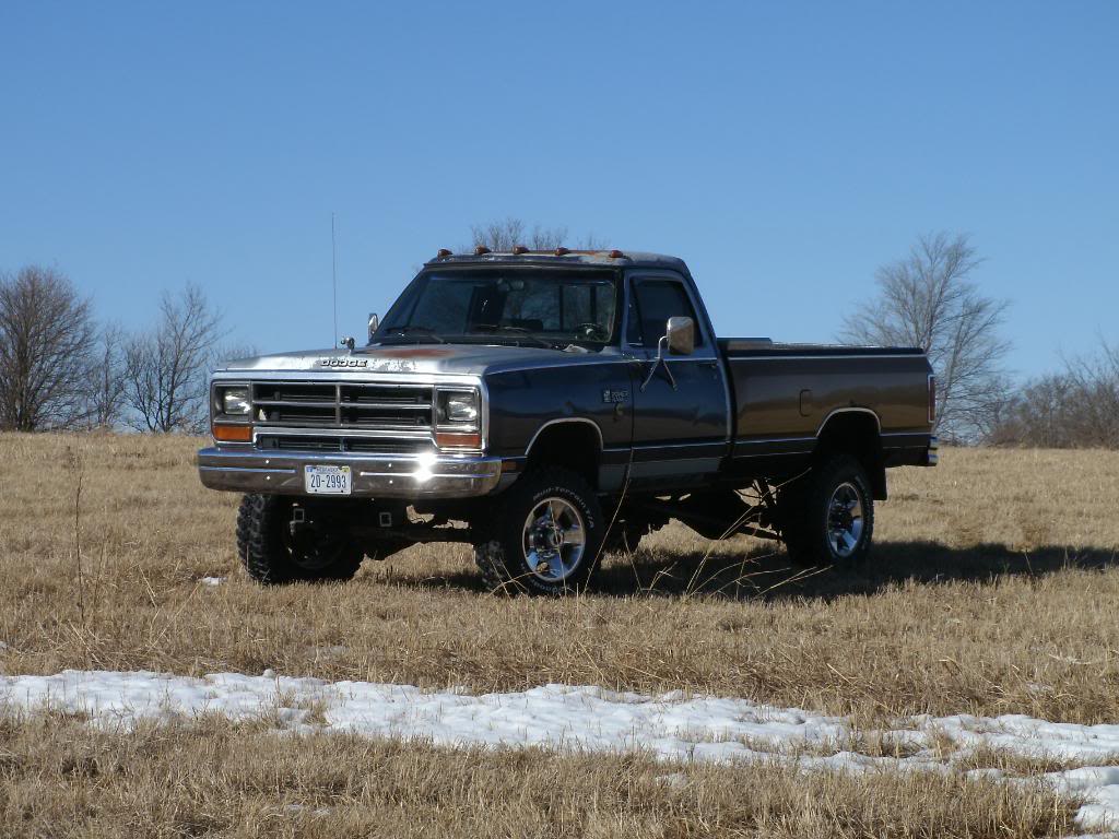 Name:  Dodgepics022.jpg
Views: 35
Size:  125.1 KB