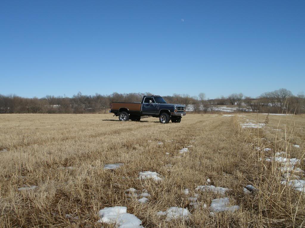 Name:  Dodgepics009-4.jpg
Views: 35
Size:  139.1 KB