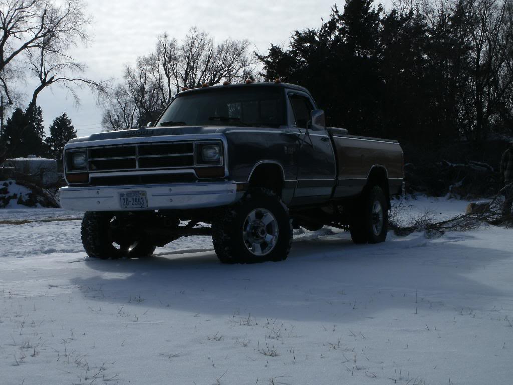 Name: Wood006.jpg
Views: 66
Size: 103.0 KB