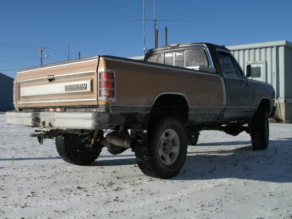 Name: Dodgepics005.jpg
Views: 76
Size: 103.1 KB