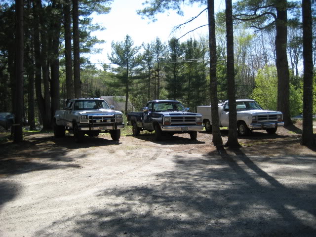 Name:  Trucks030.jpg
Views: 450
Size:  98.3 KB