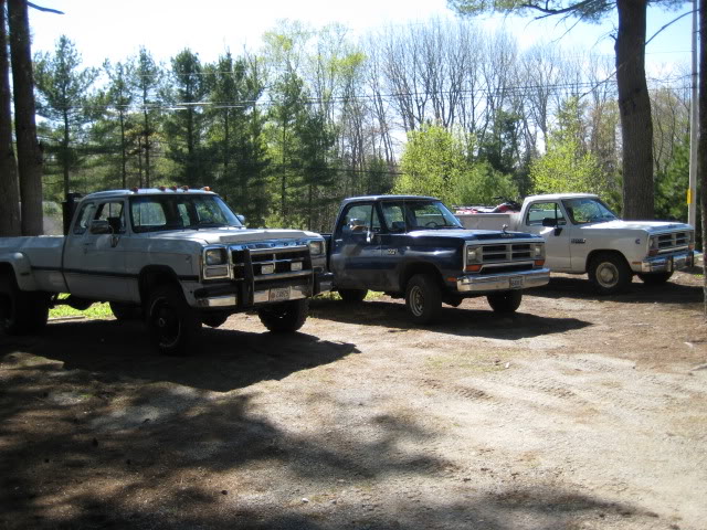 Name:  Trucks032.jpg
Views: 418
Size:  99.0 KB