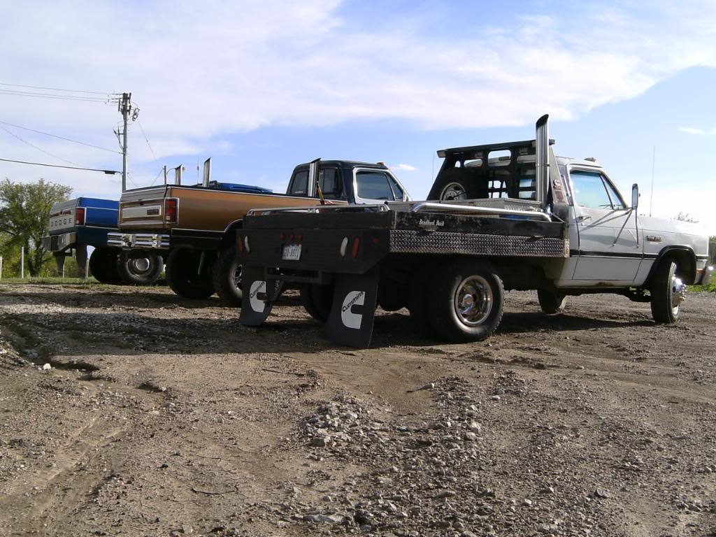 Name:  Trucks007.jpg
Views: 431
Size:  150.2 KB