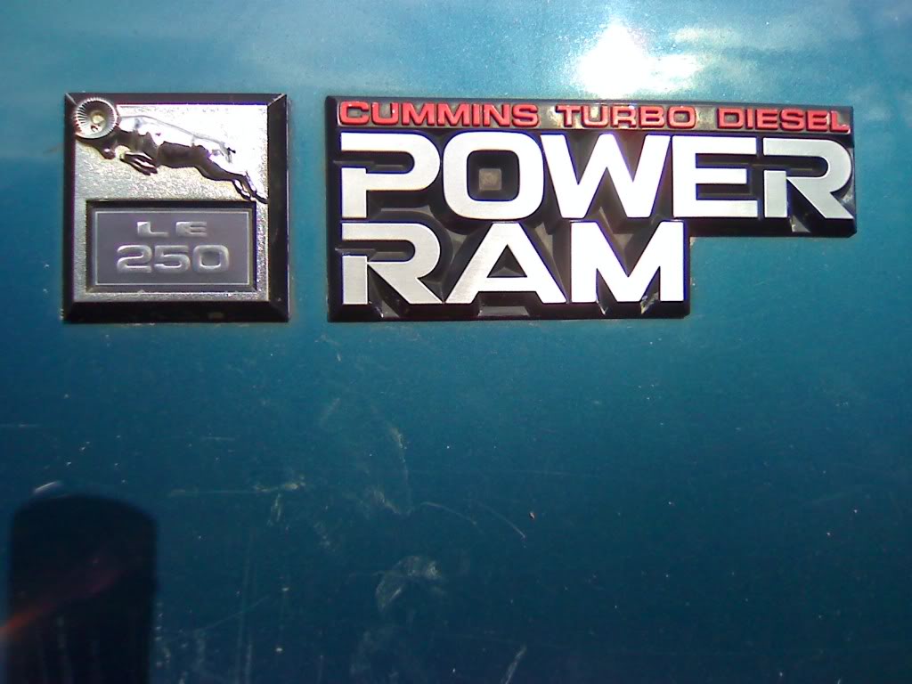 Name:  89trimbadges003.jpg
Views: 105
Size:  83.1 KB