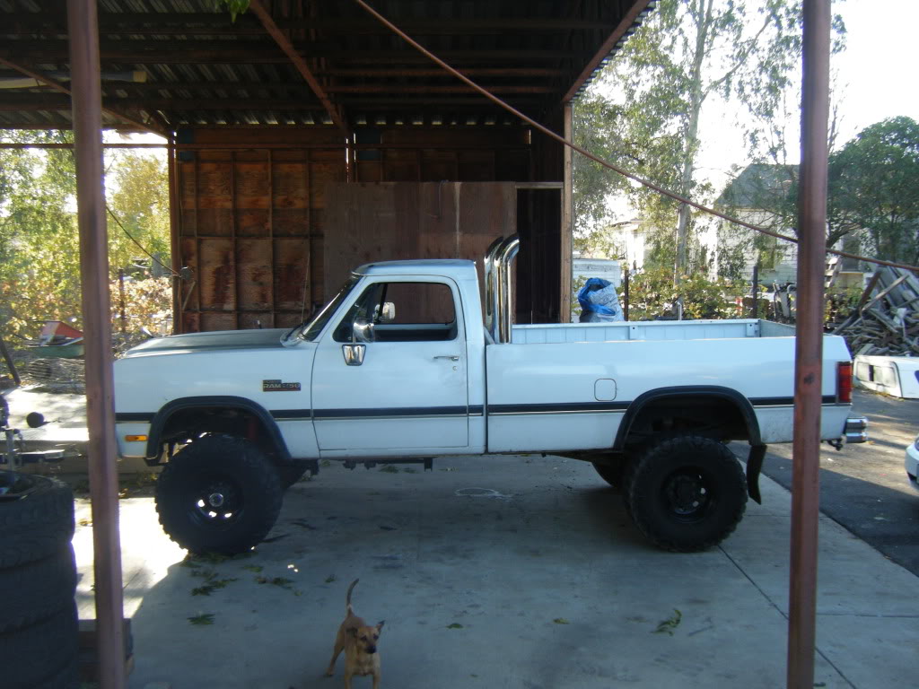 Name:  DSCF0589.jpg
Views: 247
Size:  154.3 KB