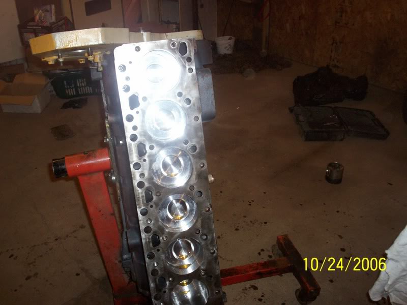 Name:  000_0214.jpg
Views: 1455
Size:  61.3 KB