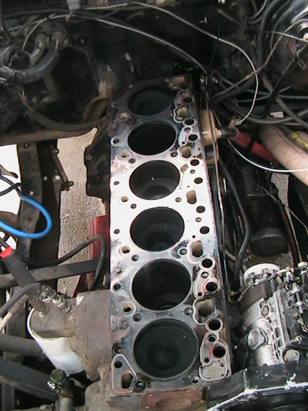 Name: IMG_0106.jpg
Views: 34
Size: 100.4 KB