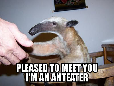 Name:  pleased-to-meet-you-im-an-anteater.jpg
Views: 19
Size:  29.3 KB