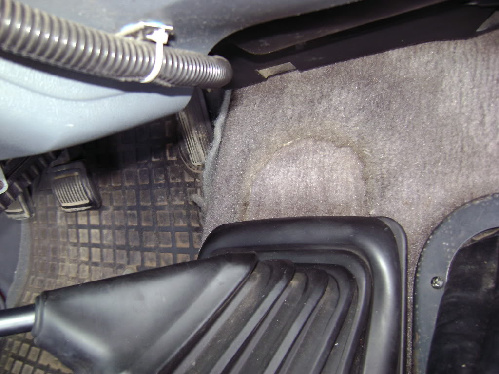 Name:  nv4500007.jpg
Views: 1660
Size:  138.6 KB