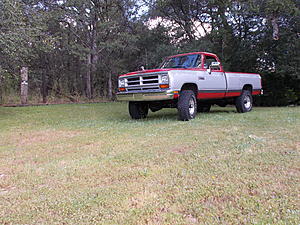 1990 D250 to W250-dscn0449.jpg