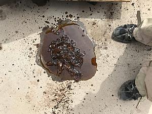 What did you do to your Gen 1 today?-10bf68c3-03b8-49b2-b5ae-93987ab5ec9f.jpeg