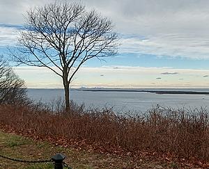 What did you do to your Gen 1 today?-1220171415_hdr-1.jpg