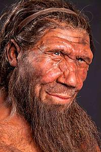 What did you do to your Gen 1 today?-image_3548_1-neanderthal.jpg