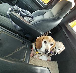 What did you do to your Gen 1 today?-0410181540b-1-1.jpg