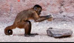 What did you do to your Gen 1 today?-capture-_2018-04-21-06-45-43-1.png