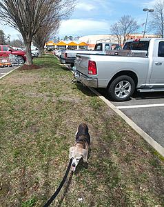 What did you do to your Gen 1 today?-0424181254a-1.jpg