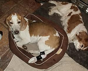 What did you do to your Gen 1 today?-0424182241b-1.jpg