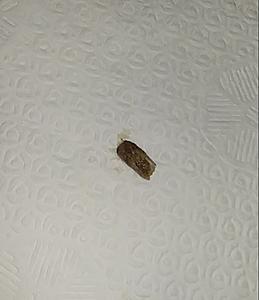 What did you do to your Gen 1 today?-0424182240b-1.jpg