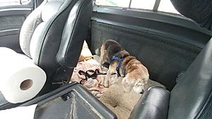 What did you do to your Gen 1 today?-0504181330-1024x576.jpg