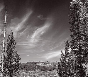 What did you do to your Gen 1 today?-_mg_4578-2.jpg