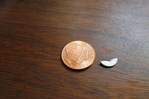 Anyone ID this chunk-o-metal found in oil?-4in7js4.jpg