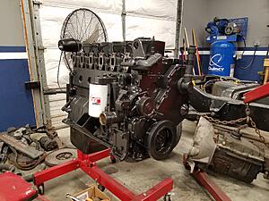 1993 D250 Frame Off Build-rfffbpv.jpg