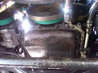 Oil Leaking from somewhere?-img00077-20100727-1536.jpg