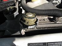 99 Using/Loosing Coolant?-cap-hood.jpg