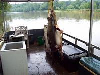 code po602-427904_3107816697902_1779537795_n.jpg