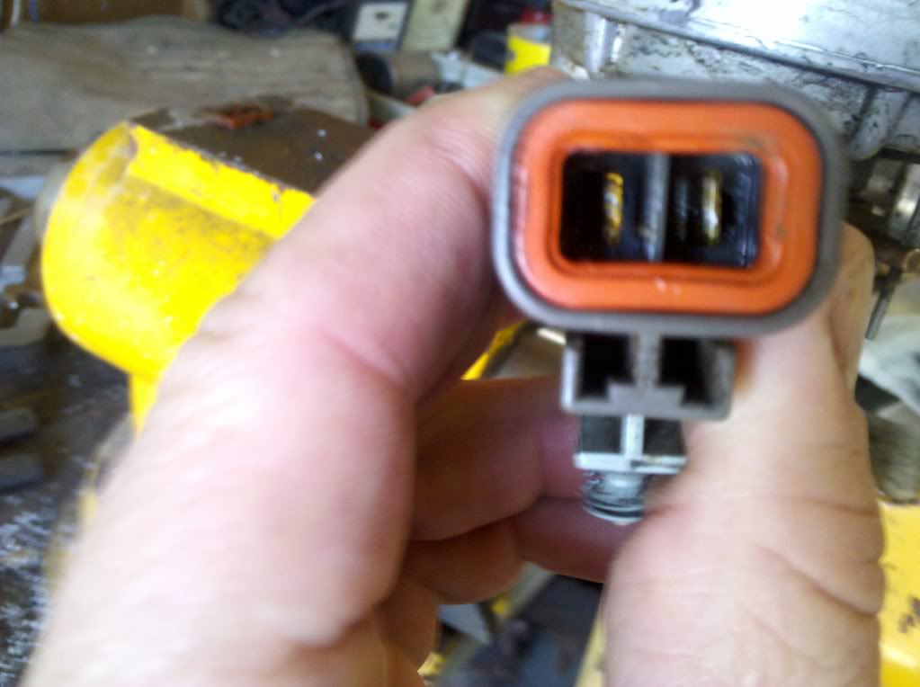 Name:  IMG_20101105_153134.jpg
Views: 4226
Size:  87.2 KB