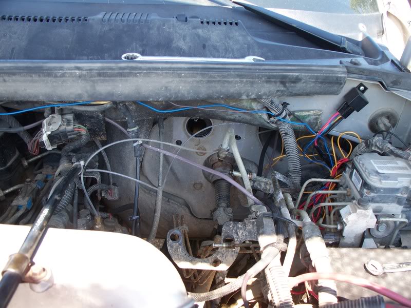 Name:  100_0296.jpg
Views: 8695
Size:  109.3 KB