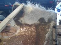 Dually Fender Repair-0617071425.jpg