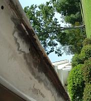 How I Replaced My Door Rust!-dscf0700.jpg