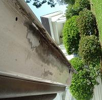 How I Replaced My Door Rust!-dscf0701.jpg