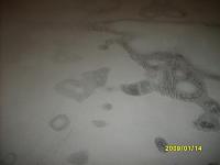 Painting my truck with pics-sd531906.jpg