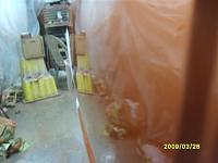 Painting my truck with pics-sd532366.jpg