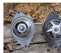 W/P took a dump.-100_2273_00.jpg